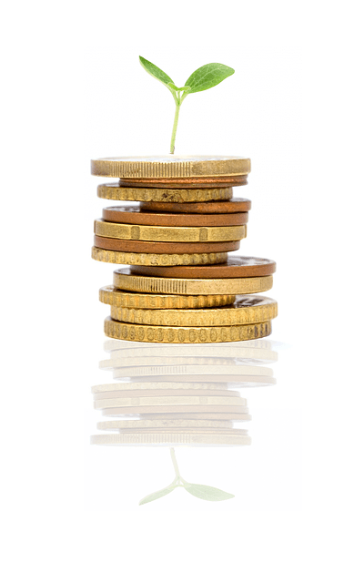 A stack of coins with a sprouting plant on top, symbolizing the potential for growth and development of properties in Bulacan
